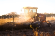 Podravka Agri uspje�no zavr�ila �etvu je�ma i p�enice