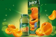 Agrokor slu�beno: Stani� Grupa od Jamnice kupila Juicy