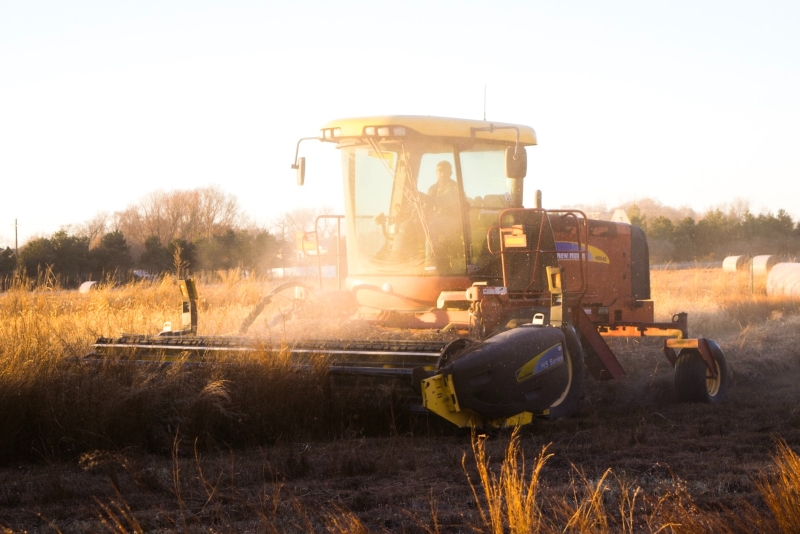 Podravka Agri uspje�no zavr�ila �etvu je�ma i p�enice